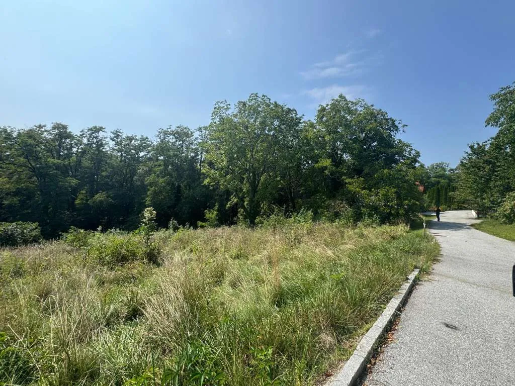 Zwei Baugrundstücke mit angrenzender Waldfläche in Hartberg - Am Brühlbach - Ansicht 3