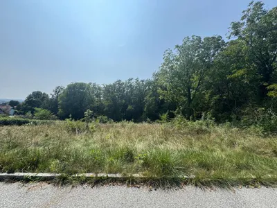 Grundstück kaufen in Hartberg-Fürstenfeld – 4 151 m², € 149 – Bild 6 von 13