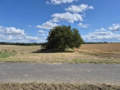 Grundstück kaufen in Oberpullendorf – 6 900 m², € 25.990 – Bild 8 von 16
