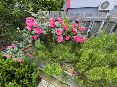 4-Zimmer-Haus kaufen in Sankt Pölten Land – 150 m², € 299.000 – Bild 18 von 18