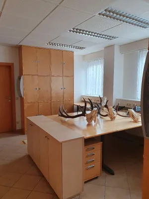 6-Zimmer-Gewerbeimmobilie mieten in Linz Land – 220 m², € 3.168 – Bild 2 von 10
