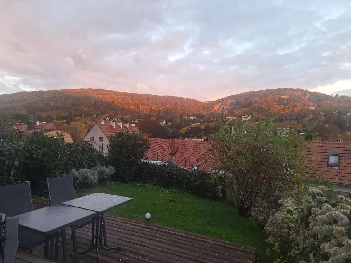 Wunderschöne neuwertige Gartenwohnung mit grünem Ausblick – pohled 2