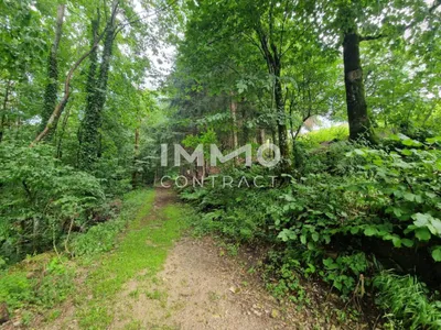 Gewerbeimmobilie kaufen in Scheibbs – 460 m², € 259.000 – Bild 16 von 17