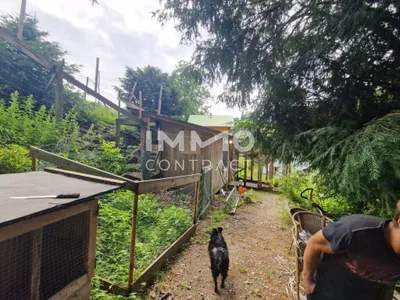 Gewerbeimmobilie kaufen in Scheibbs – 460 m², € 259.000 – Bild 15 von 17