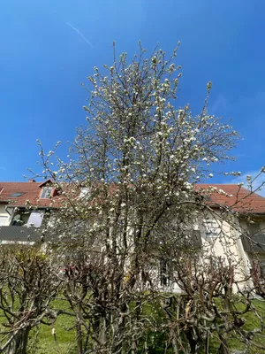 Wohnung mieten in Leibnitz – 24 m², € 419 – Bild 7 von 18