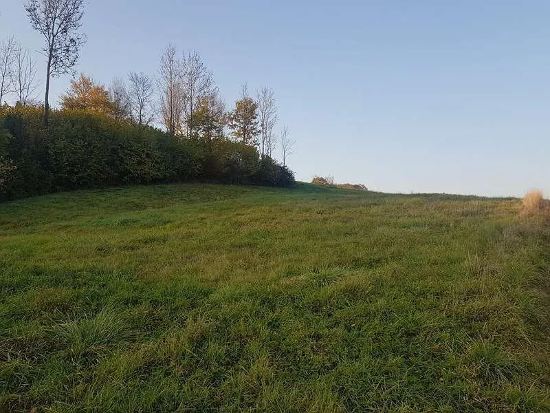 Provisonsfrei: Bauplatz in Untergiem (Feldbach) in Ruhelage - Ansicht 2