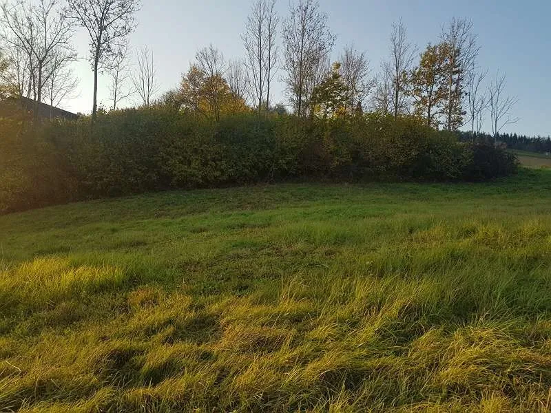 Provisonsfrei: Bauplatz in Untergiem (Feldbach) in Ruhelage - Ansicht 3