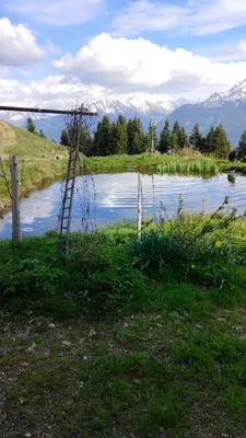 6-Zimmer-Immobilie mieten in Zell am See – 180 m², € 1.234 – Bild 5 von 7