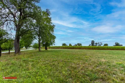 Immobilie kaufen in Wels-Land – 4 860 m², € 320.000 – Bild 14 von 17