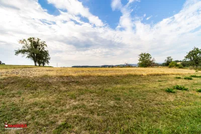 Immobilie kaufen in Wels-Land – 4 860 m², € 320.000 – Bild 6 von 17