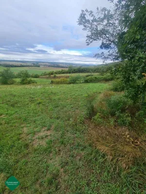 Grundstück kaufen in Gänserndorf – 2 400 m², € 35.000 – Bild 5 von 7