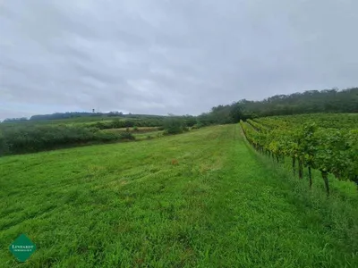Grundstück kaufen in Gänserndorf – 2 400 m², € 35.000 – Bild 2 von 7