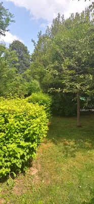 2-Zimmer-Wohnung mieten in Graz – 41 m², € 715 – Bild 5 von 16
