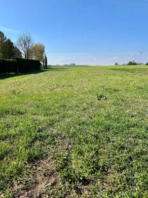 Grundstück kaufen in Neusiedl am See – 1 537 m², € 255.000 – Bild 5 von 8