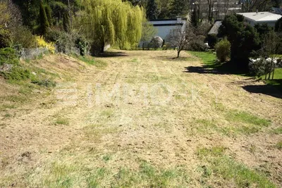 Grundstück kaufen in Linz – 1 338 m², € 1.135.000 – Bild 4 von 4