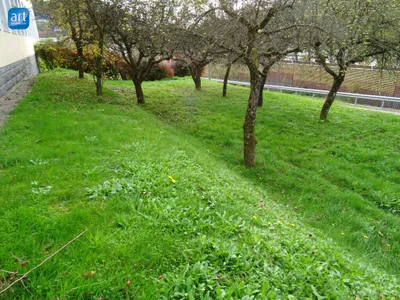 Wohnung mieten in Schärding – € 850 – Bild 5 von 5