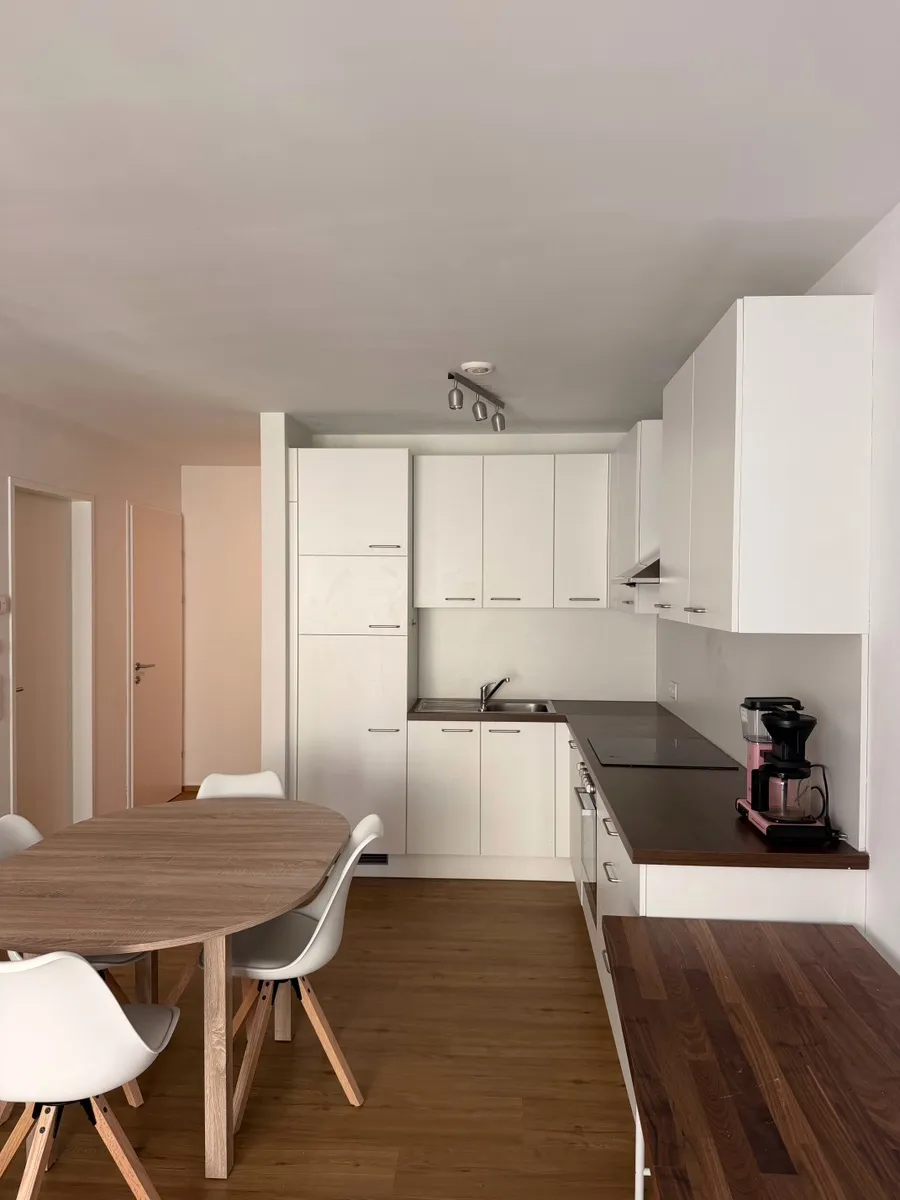 Apartment in Linz, Neustadtviertel, Innere Stadt - Ansicht 3