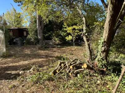 Grundstück kaufen in Gänserndorf – 570 m², € 285.000 – Bild 2 von 3