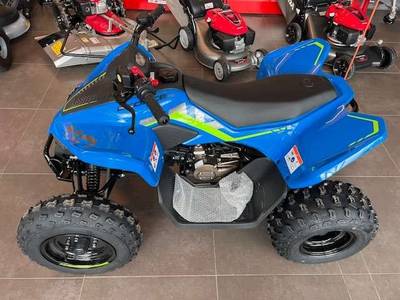 CFMOTO CForce ATV CForce 110 Kinder Quad 2025