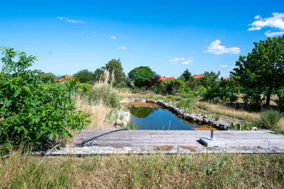 5-Zimmer-Immobilie kaufen in Baden – 390 m², € 2.500.000 – Bild 26 von 56