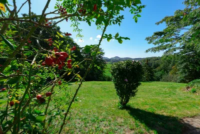 6-Zimmer-Haus kaufen in Südoststeiermark – 239,64 m², € 620.000 – Bild 24 von 42