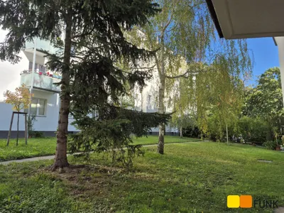 3-Zimmer-Wohnung mieten in Wien – 70 m², € 1.296 – Bild 3 von 18