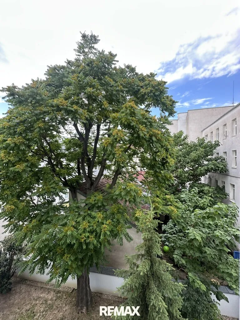 Helle 3-Zimmer-Eigentumswohnung mit Lift - Nähe Yppenplatz & Ottakringer Brauerei - Widok 3
