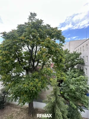 3-Zimmer-Wohnung kaufen in Wien – 92 m², € 379.000 – Bild 3 von 5