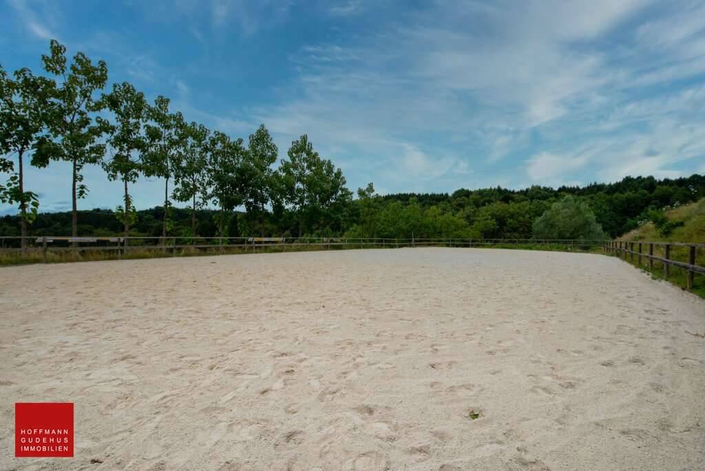 1/2 REITERHOF - 1.000 MÖGLICHKEITEN - Visning 2