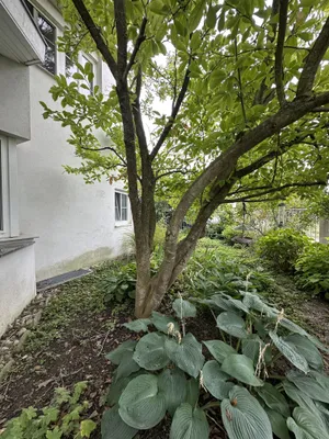 6-Zimmer-Haus kaufen in Tulln – 265 m², € 1.195.000 – Bild 58 von 59