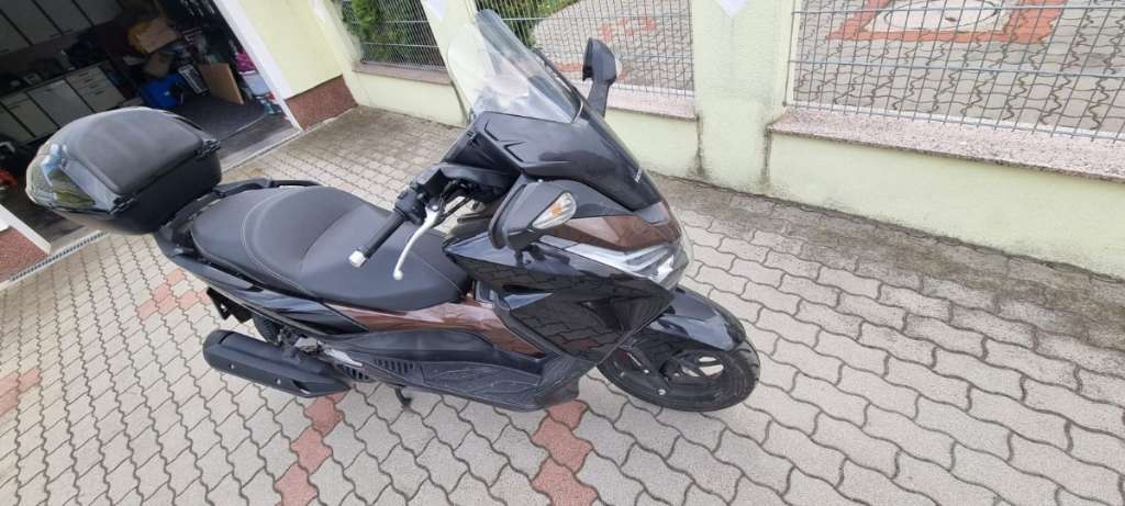 Honda Forza Moped / Mofa - willhaben