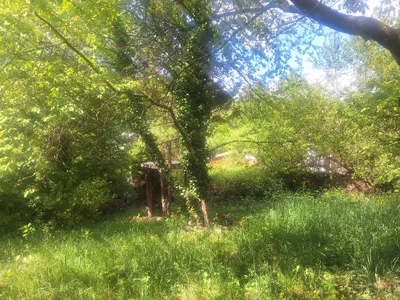 Grundstück kaufen in Urfahr-Umgebung – 940 m², € 140.000 – Bild 1 von 4