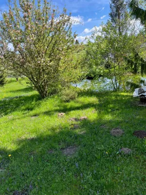 Haus kaufen in Murau – 202 m², € 998.000 – Bild 18 von 74