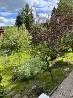 Haus kaufen in Murau – 202 m², € 998.000 – Bild 14 von 74