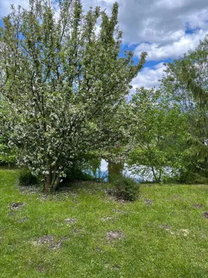 Haus kaufen in Murau – 202 m², € 998.000 – Bild 17 von 74