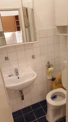 1-Zimmer-Wohnung mieten in Wien – 30 m², € 499 – Bild 7 von 11