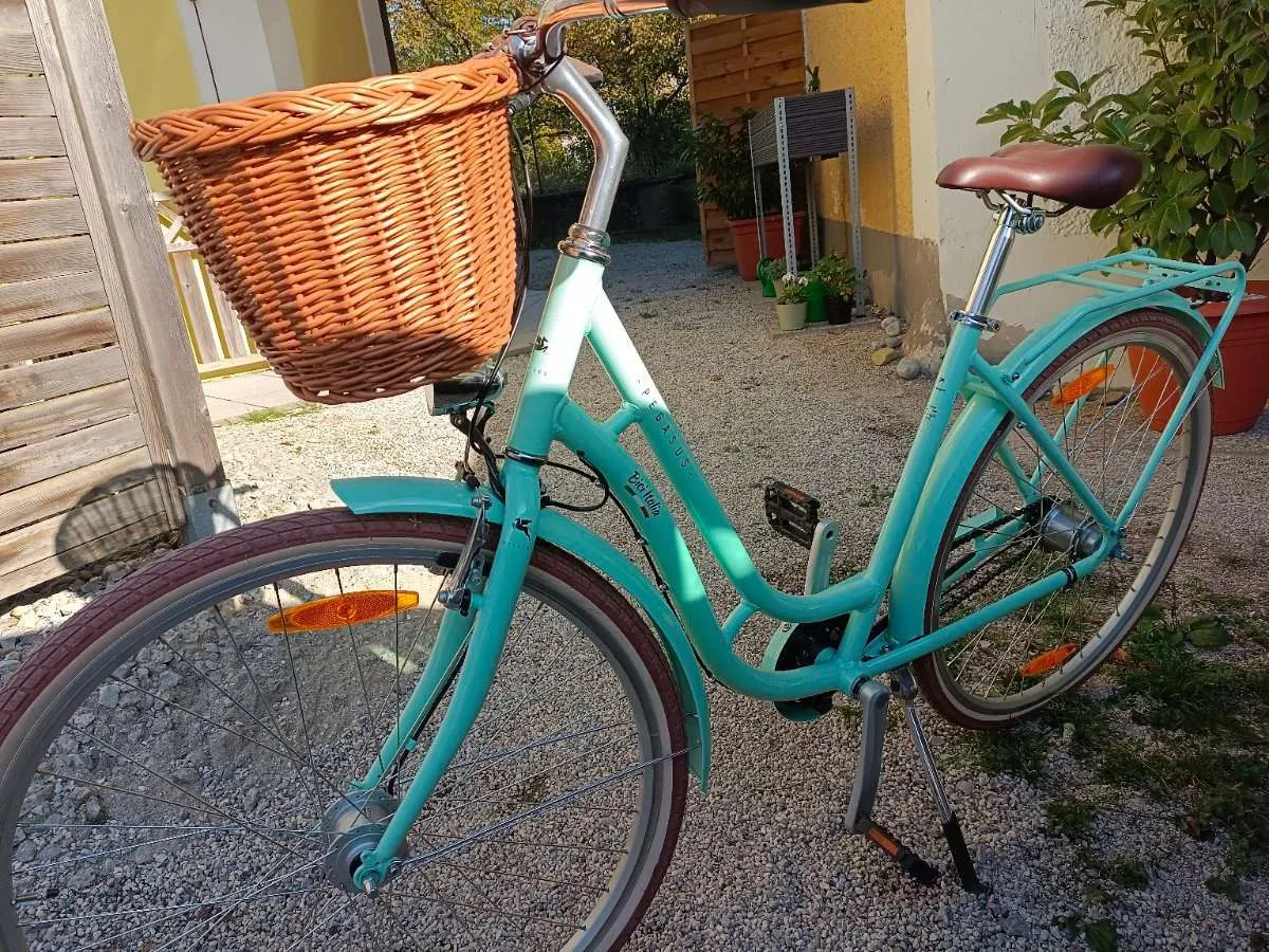 zündapp e-klapprad X100 20