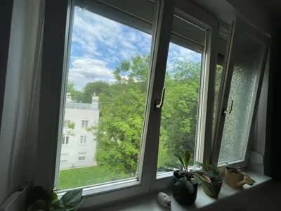 Shared-Flat WG Zimmer in grüner Ruhelage, Purkersdorf bei Wien – Bild 3