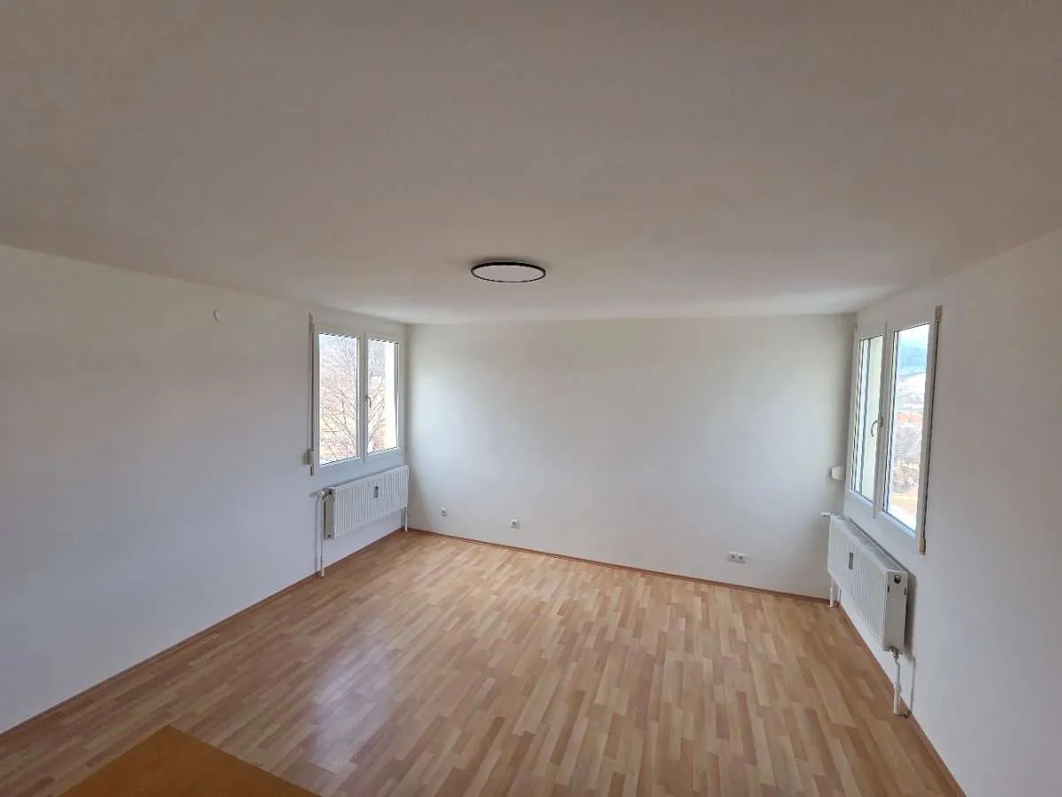 ***4,5% Rendite*** vermietete Garconniere, perfekte Aussicht, hell, Dachterrassenmitbenützung, Autoabstellplatz - Ansicht 2