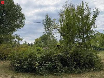 Grundstück kaufen in Graz-Umgebung – 5 300 m², € 275.000 – Bild 3 von 7