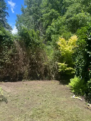 Wohnung kaufen in Mattersburg – 30 m², € 19.000 – Bild 2 von 3
