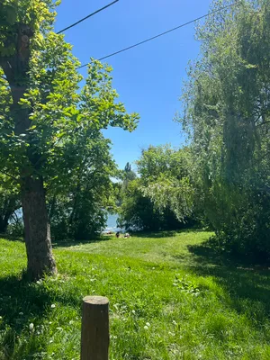 Wohnung mieten in Wien – 55 m², € 950 – Bild 11 von 15