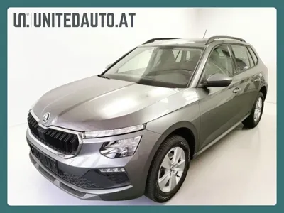 Skoda Kamiq Selection Automatik *LED*Navi*Radar*Temp*...