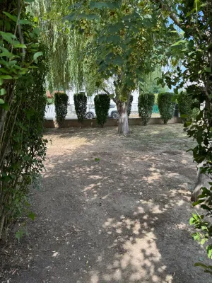 3-Zimmer-Haus mieten in Oberwart – 75 m², € 700 – Bild 30 von 31