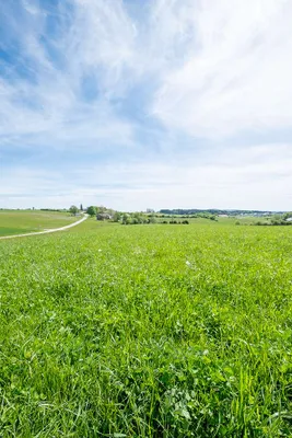 Haus kaufen in Schärding – 143 m², € 529.000 – Bild 15 von 15