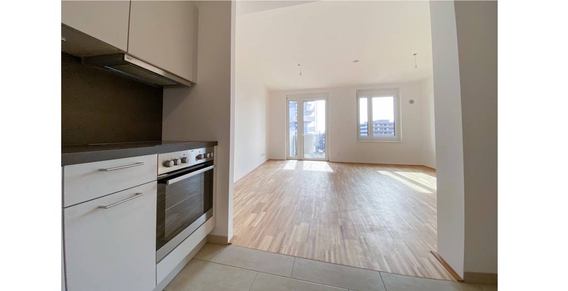 Garconniere mit separater Küche und Balkon in den Reininghausgründen, Eggenberg