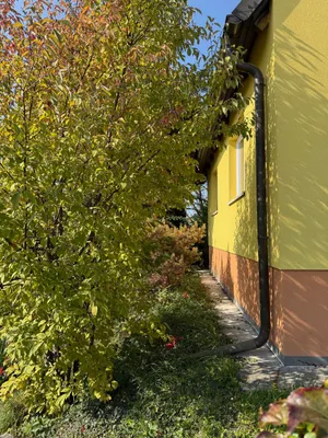 5-Zimmer-Haus mieten in Korneuburg – 77 m², € 1.390 – Bild 2 von 9