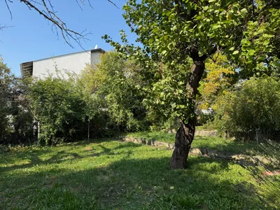 5-Zimmer-Haus mieten in Korneuburg – 77 m², € 1.390 – Bild 4 von 9