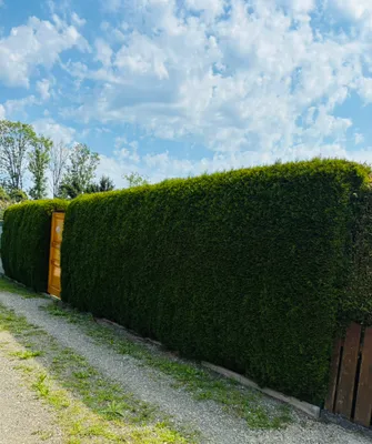 Immobilie kaufen in Leoben – 30 m², € 16.500 – Bild 3 von 22