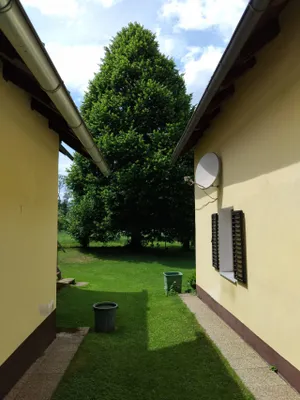 Haus kaufen in Klagenfurt Land – 320 m², € 3.500.000 – Bild 10 von 10